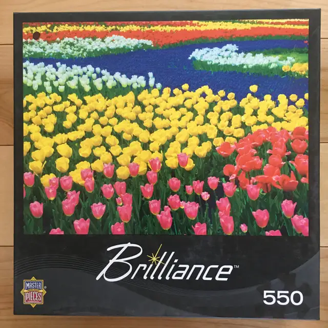 Casse-têtes / Puzzles (9 CT), 500 @ 550 LARGE pièces (II) - Photo 8