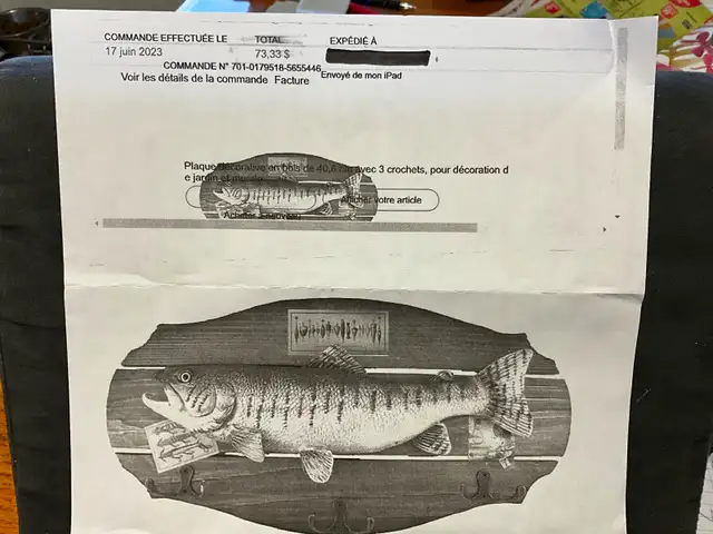 Plaque décorative, Enseigne de métal, Trophée de pêche - Photo 2