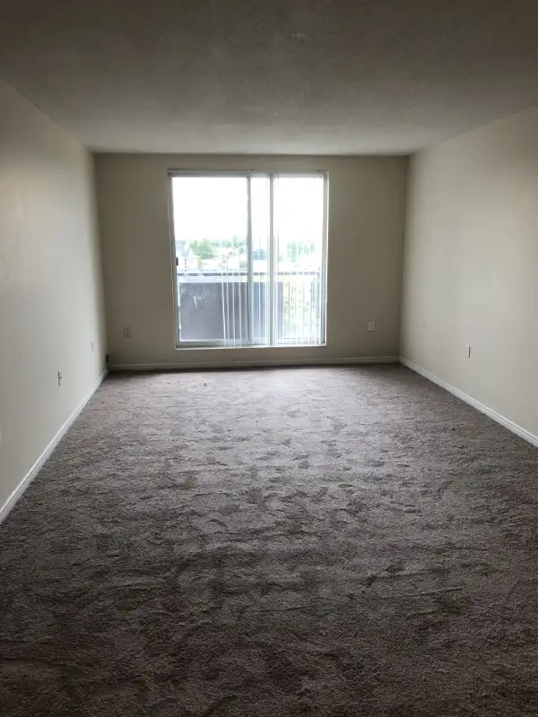 Affordable Carpet Installation & Repairs – Call for Free Quote - Photo 10