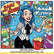 Seeking Cleaning Work