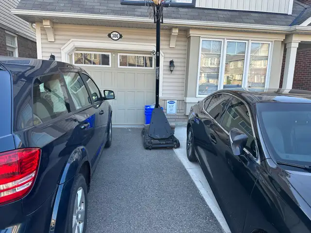 Basketball Net - Photo 2