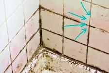 STEAMCLEANING MOULD MACHINE BATHROOM TILE GROUT CAULK