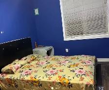 Room Available for Rent