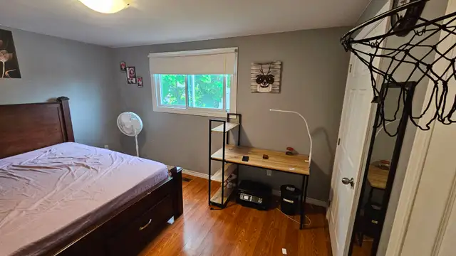 Room available for rent 1st May College Ave W, near University.