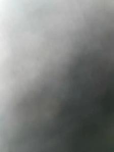 Shipper/Receiver needed