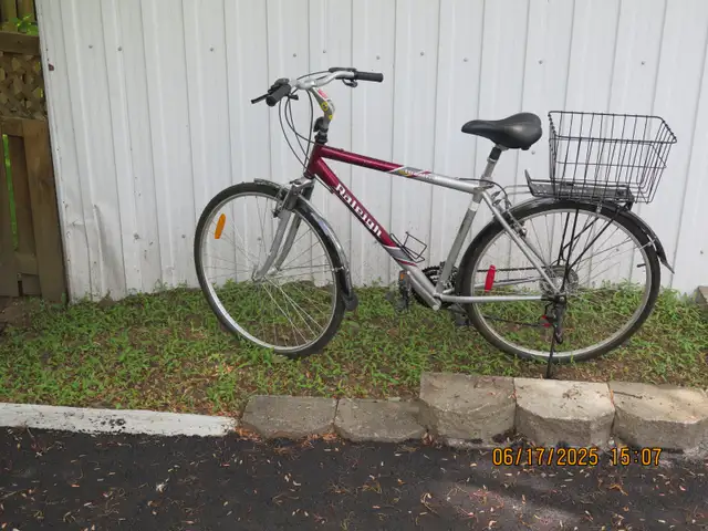 21 VITESSE BICYCLES A VENDRE