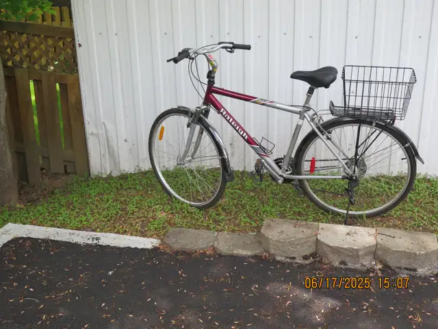 21 VITESSE BICYCLES A VENDRE - Photo 2