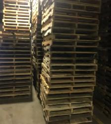Pallets or  skids for sale