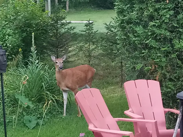 Maison entièrement meublée - Photo 18