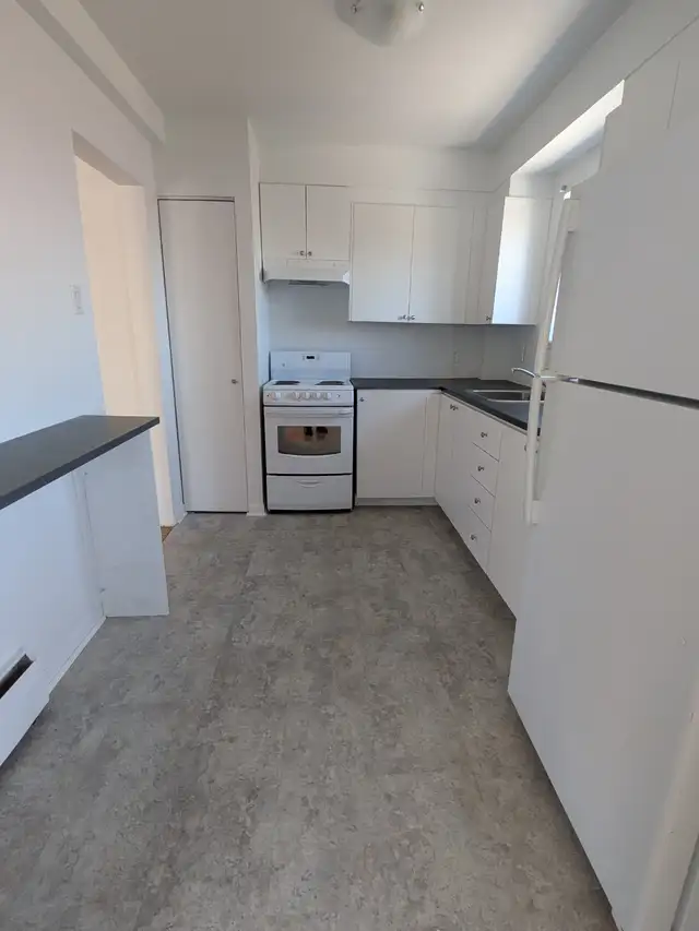 Beau GRAND 4½ LIBRE/CDN/POLY/ HEC/UdeM - Photo 3