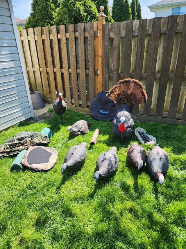 Turkey hunting equipment