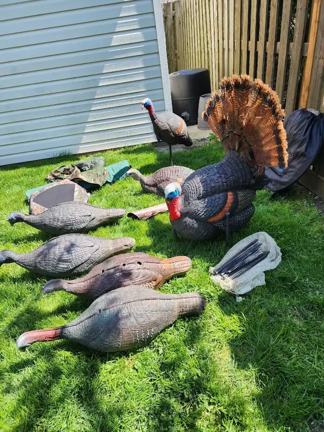 Turkey hunting equipment - Photo 2