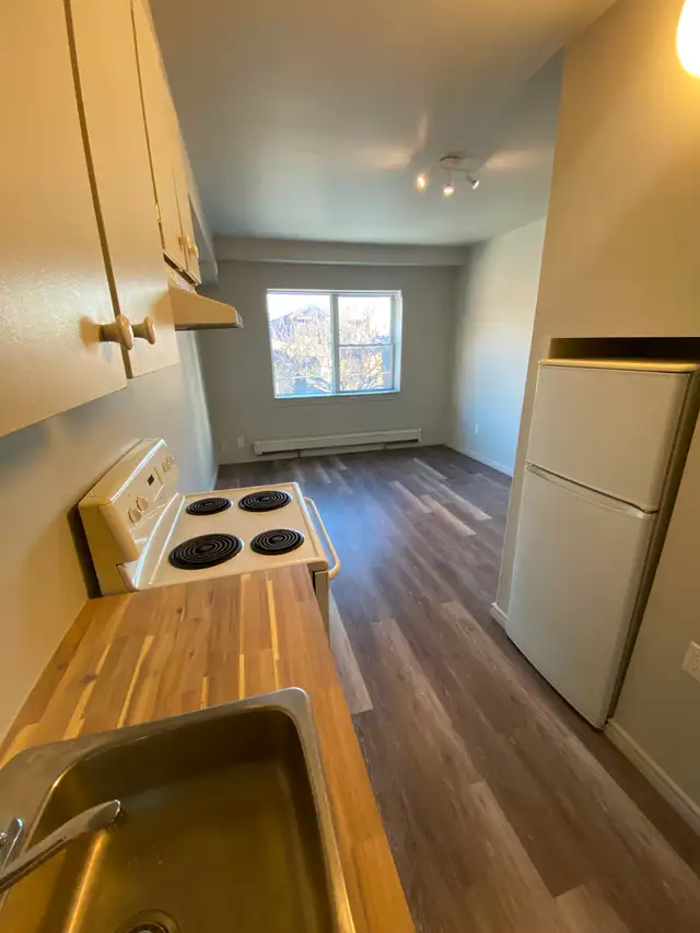 Studio Bachelor Apartment in Durand Neighbourhood - Photo 3