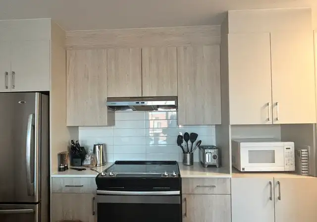 Liveo 2 Building Condo Lease Transfer - Photo 5