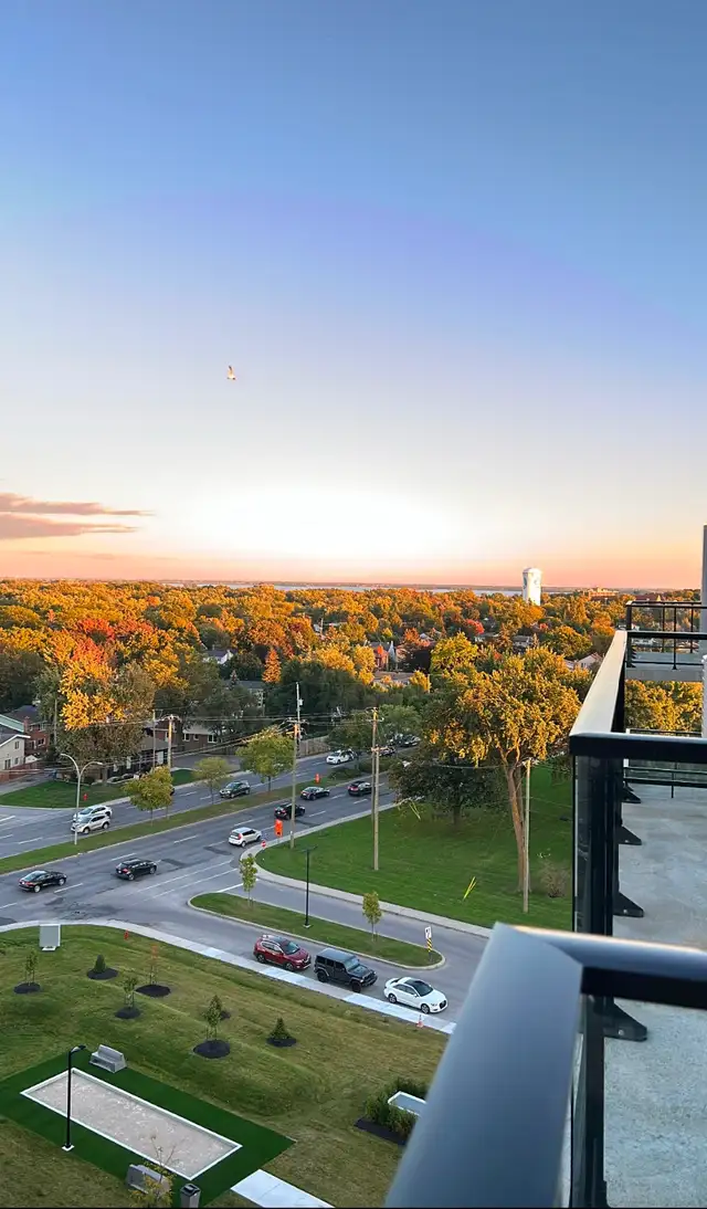 Liveo 2 Building Condo Lease Transfer - Photo 9