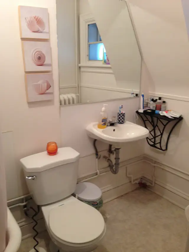 4 Bedroom ALL-INCLUSIVE Sandy Hill Apartment for Rent - Photo 3