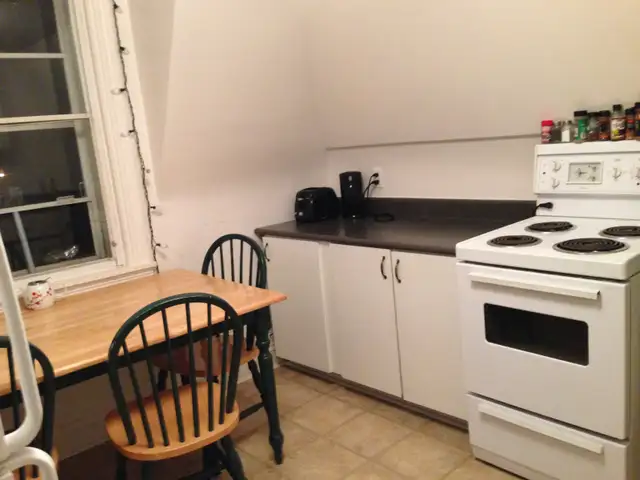 4 Bedroom ALL-INCLUSIVE Sandy Hill Apartment for Rent - Photo 6