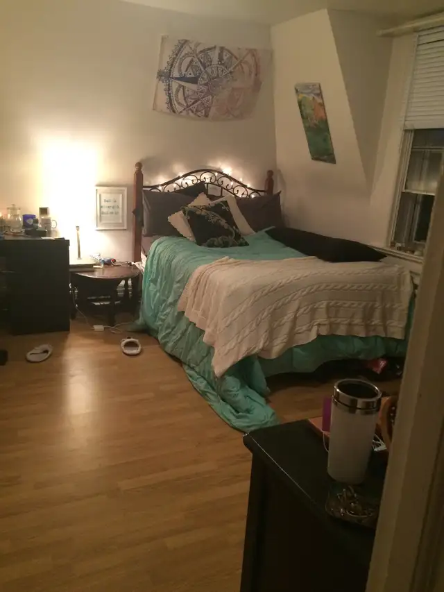 4 Bedroom ALL-INCLUSIVE Sandy Hill Apartment for Rent - Photo 7