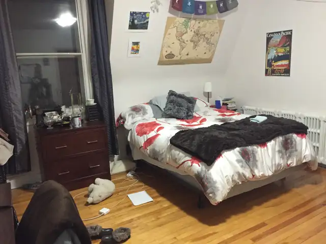 4 Bedroom ALL-INCLUSIVE Sandy Hill Apartment for Rent - Photo 8