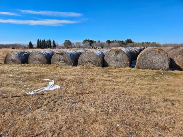 Hay for sale