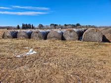 Hay for sale
