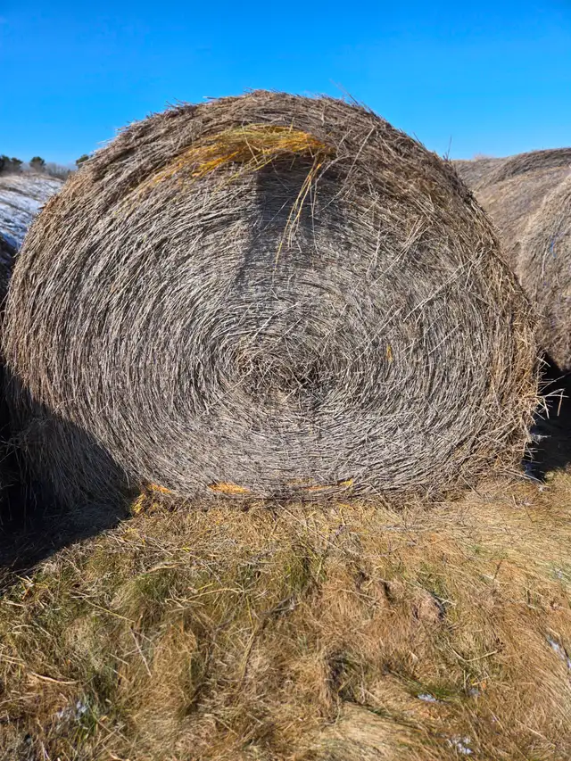 Hay for sale - Photo 2