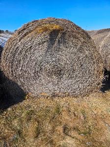 Hay for sale - Photo 2