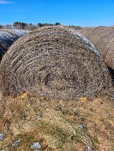 Hay for sale - Photo 3