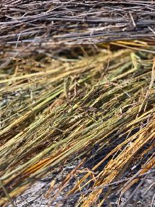 Hay for sale - Photo 4