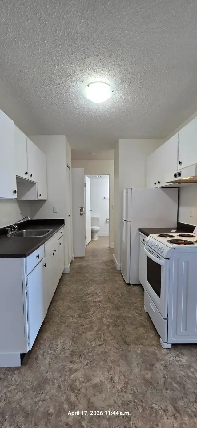 Carma Court #219 - Photo 3