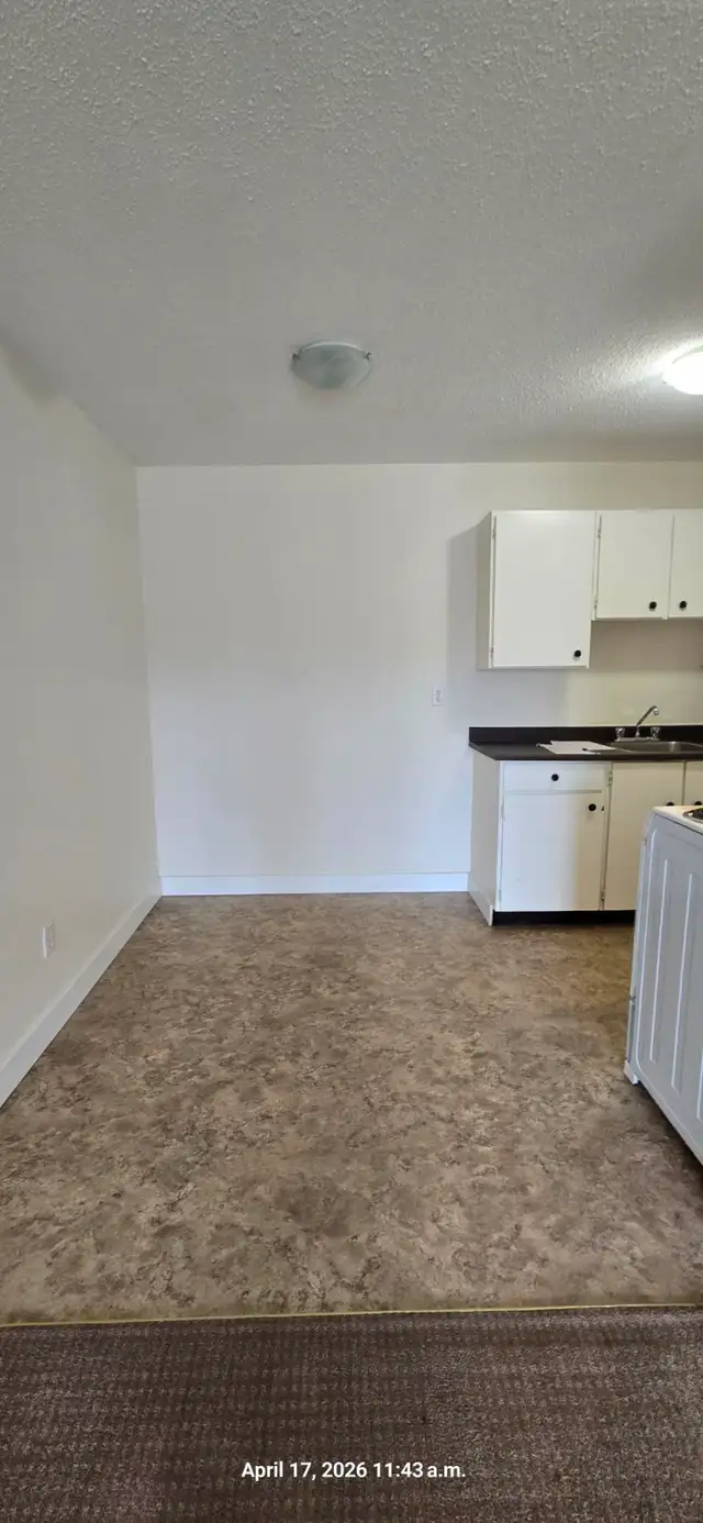 Carma Court #309 - Photo 6