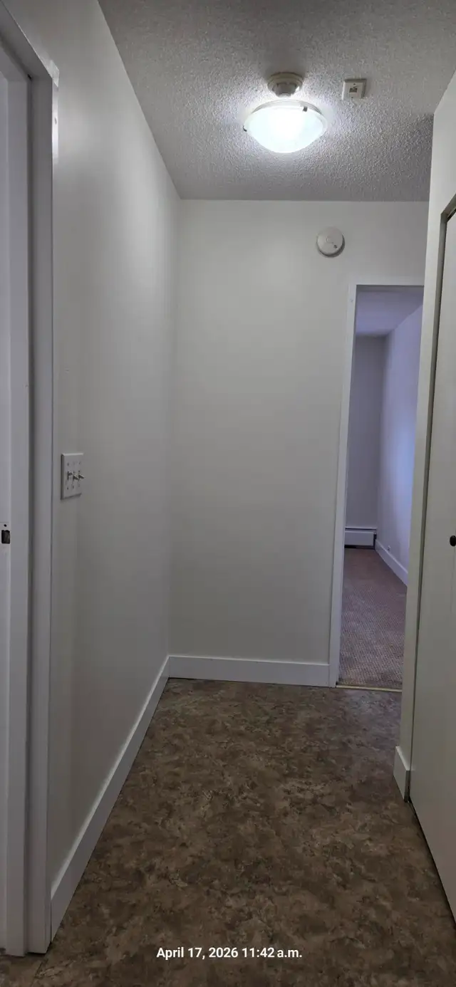 Carma Court #309 - Photo 7