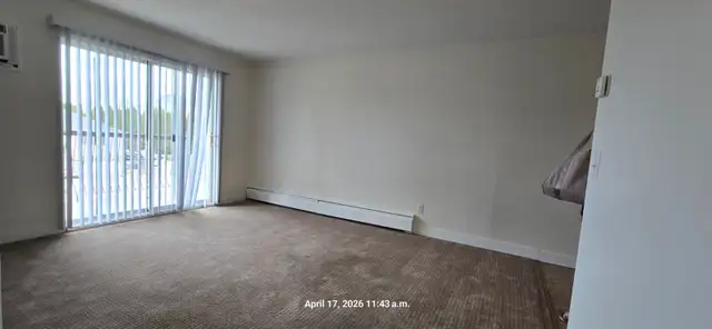 Carma Court #309 - Photo 9