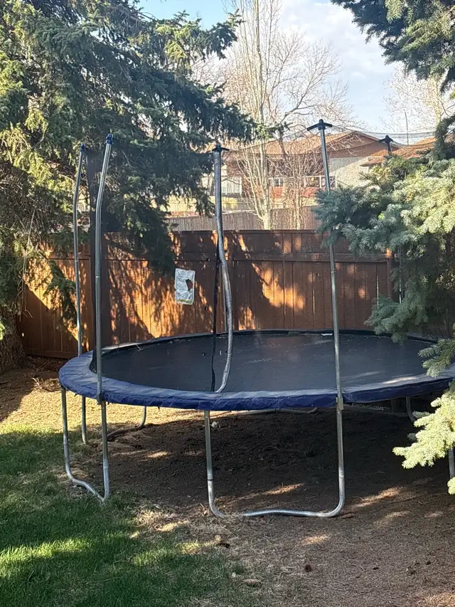trampoline