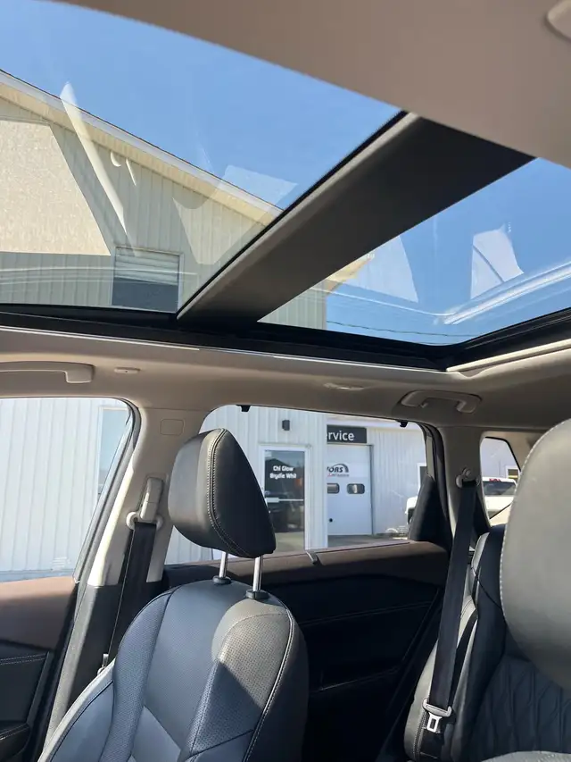 2023  Nissan rogue Platinum - Photo 4