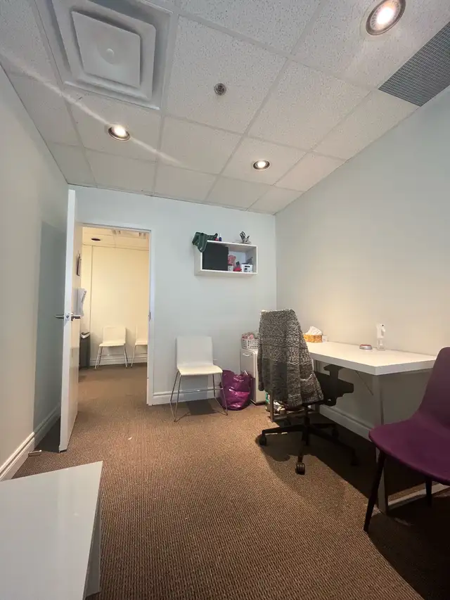 Professional office unit - Photo 7