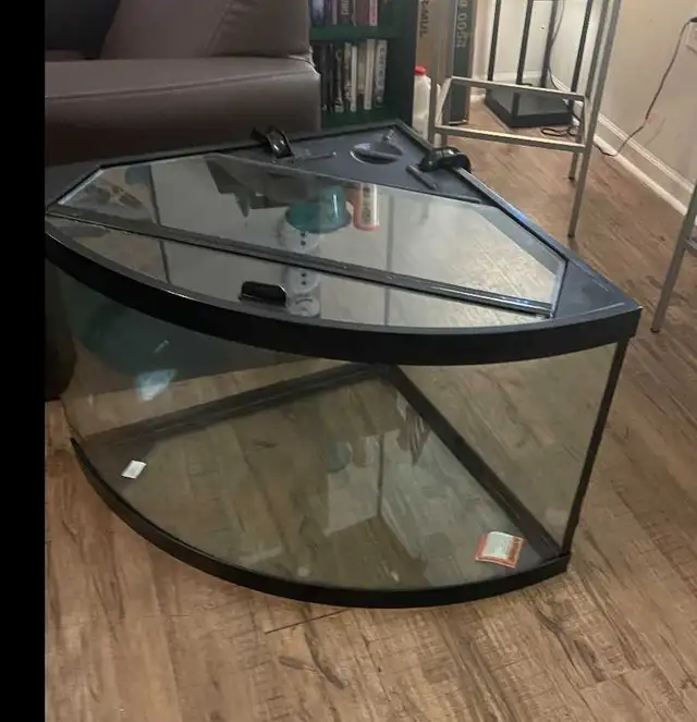 2 55 gallon Aquariums - Photo 3