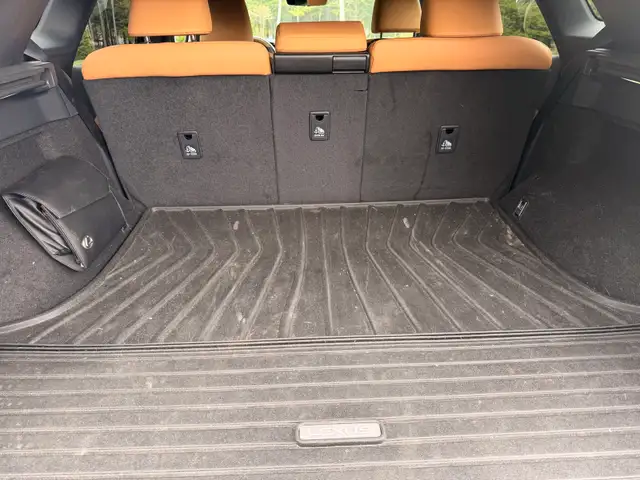 Lexus RX350 - Photo 4