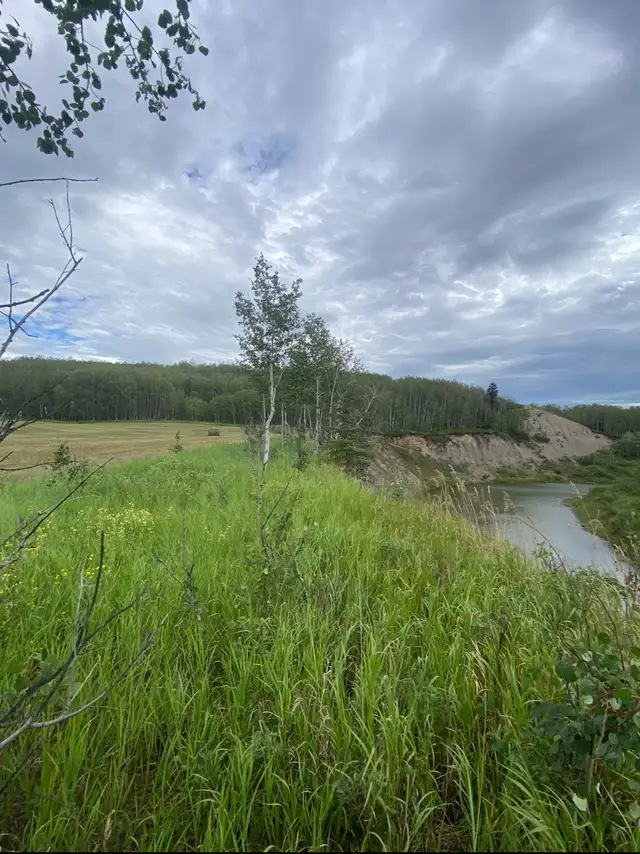 Land for sale - Photo 2