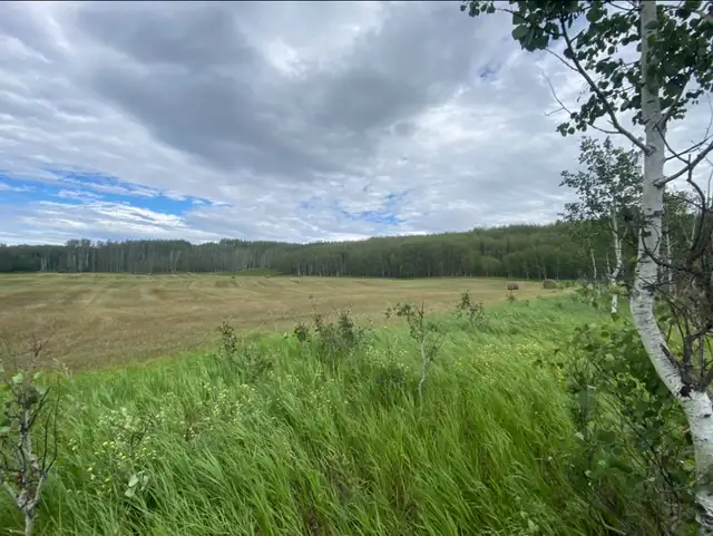 Land for sale - Photo 3