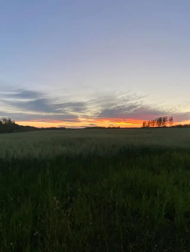 Land for sale - Photo 4