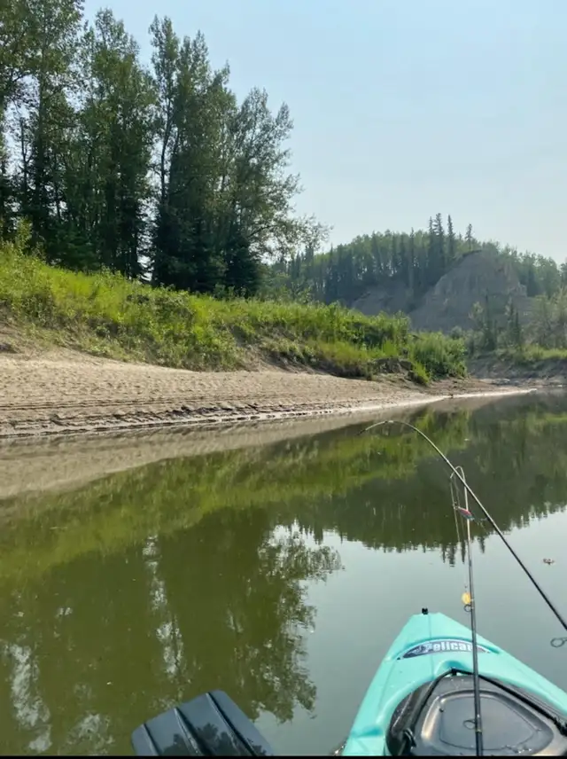 Land for sale - Photo 5