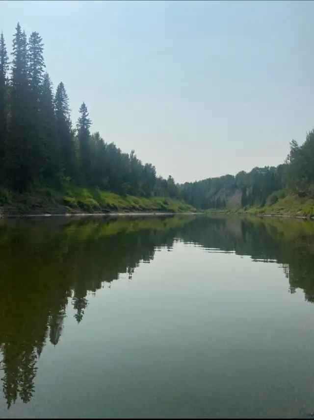 Land for sale - Photo 6