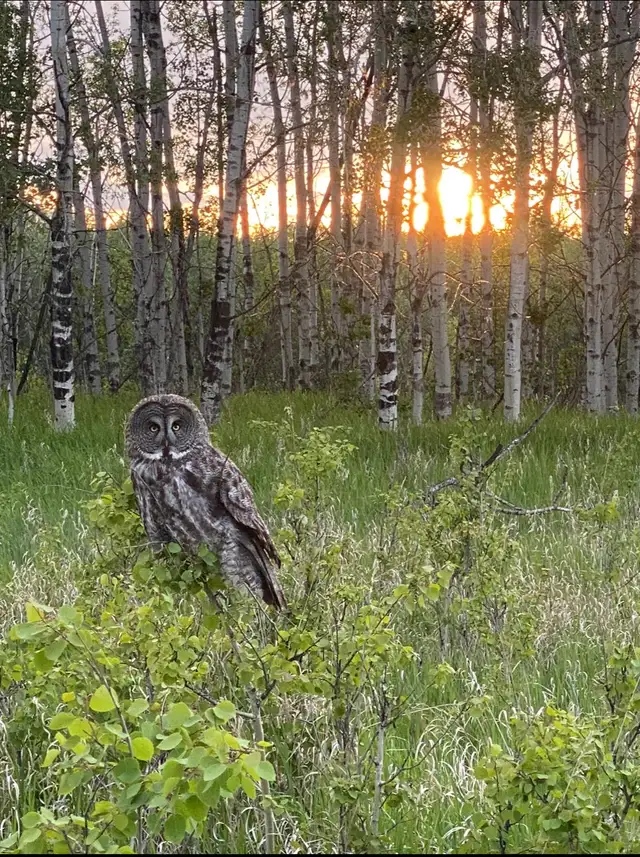 Land for sale - Photo 7