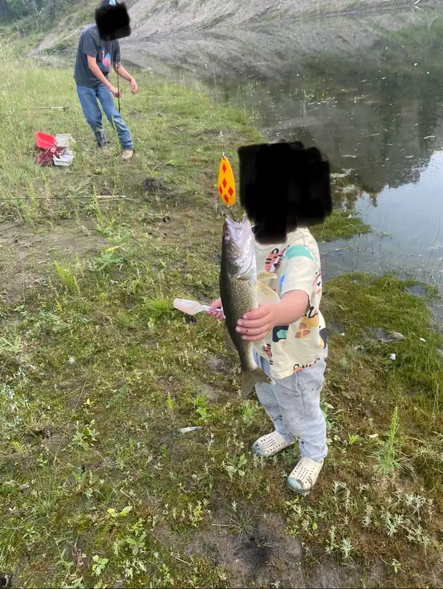 Land for sale - Photo 10