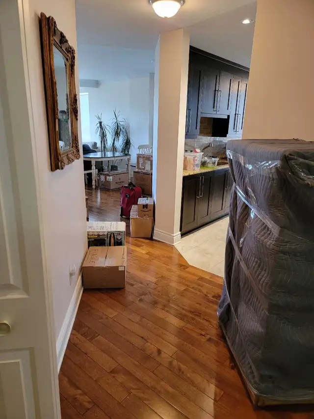 Easy! ⭐️Low PRICE! PROFESSIONNEL⭐️Demenageur PAS CHER!⭐️ - Photo 10