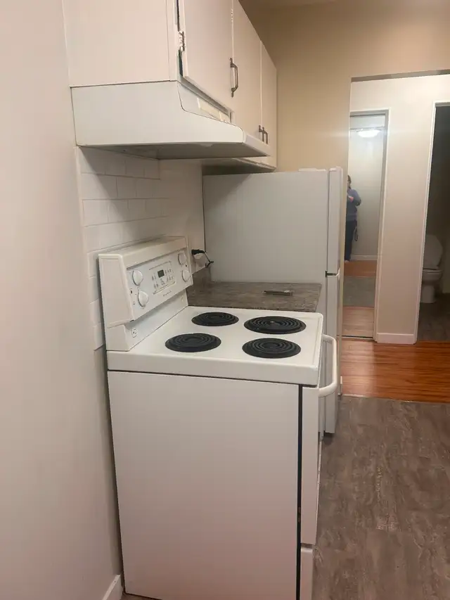 Spacious 1 Bed near Marple Loop Available - Photo 5