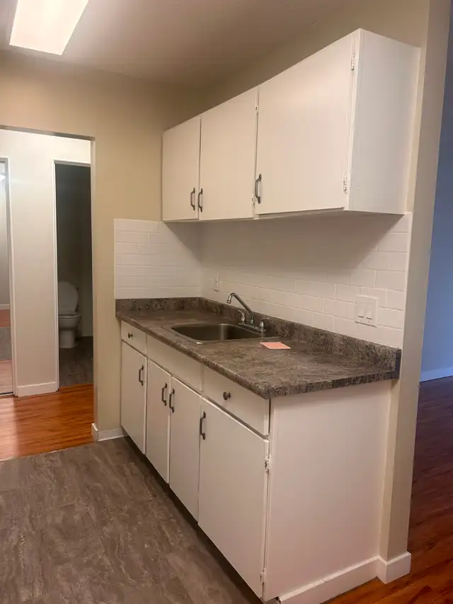 Spacious 1 Bed near Marple Loop Available - Photo 6