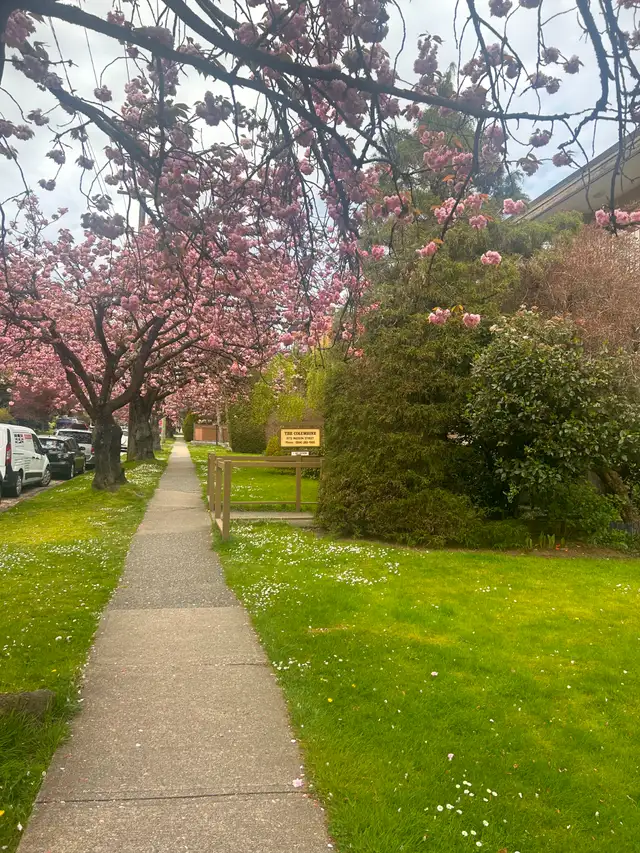 Spacious 1 Bed near Marple Loop Available - Photo 9