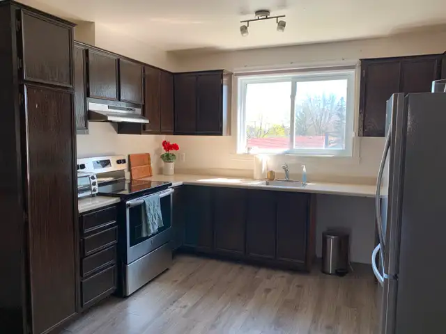 Bout de l'île, Léonard Chaigneau magnifique 41/2 pour juillet - Photo 5